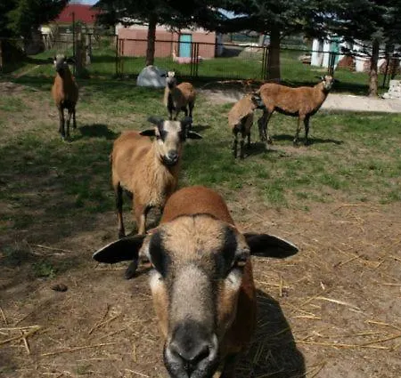 Familienhotel Zur Linde 2* Panschwitz-Kuckau